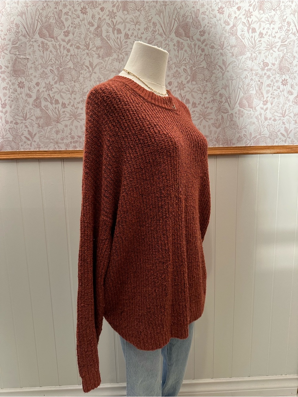 American Eagle Outfitters Cozy Rust Crewneck Sweater - Picture 5 of 7